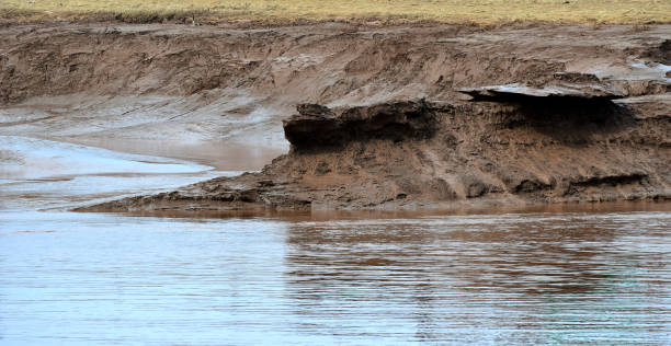 istock Petitcodiac River in Moncton, New Brunswick Canada (or informally known as Chocolate River) 814454012