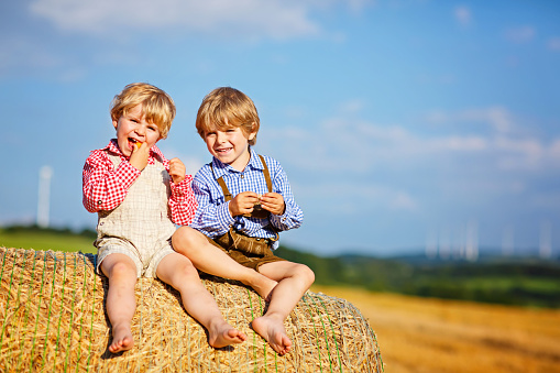 Two little kid boys, twins and siblings sitting on warm summer day on hay stack in wheat field. Happy children playing together. Best friends, family, happiness. Kids in traditional bavarian clothes