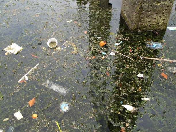 istock Garbage in the lake Atitlan, San Juan, Guatemala 814462682