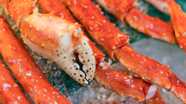 istock Food Photos 814471746