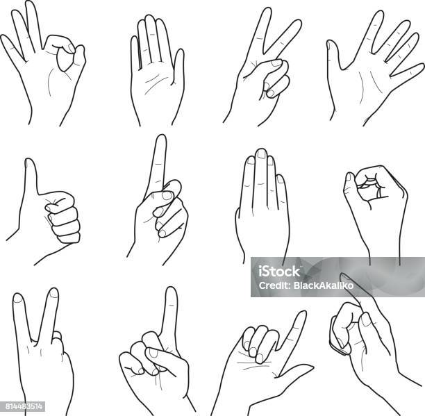 Hand Collecting Vector Hand Collection Vector Line Illustration Stock Illustration - Download ...