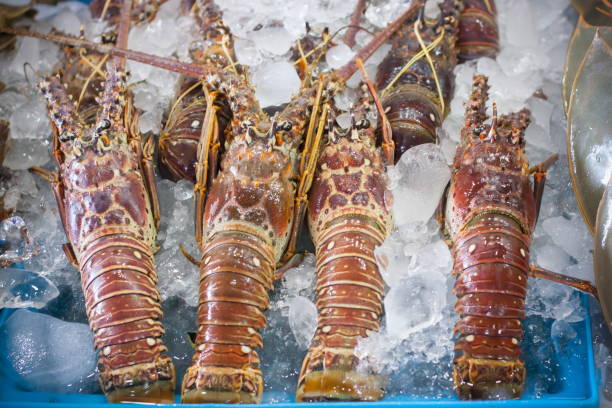 istock Lobster at thai market 814483640