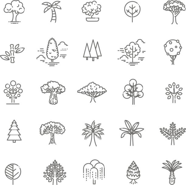 illustrations, cliparts, dessins animés et icônes de ensemble de forme arbre vecteur ligne icônes - bark elm tree oak tree wood
