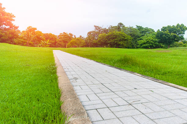 istock Pathway in green park in the morning 814484022