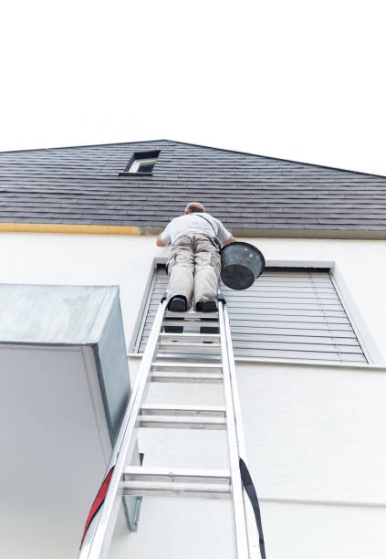 istock plasterer staying on ladder and covering the roof underside with a layer of render 814496932