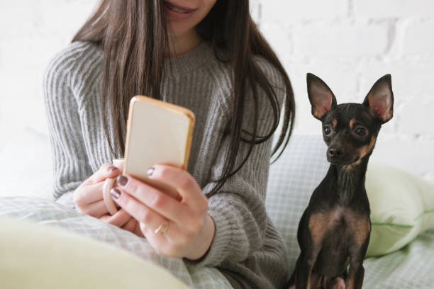 istock Strong friendship between human and dog 814506060