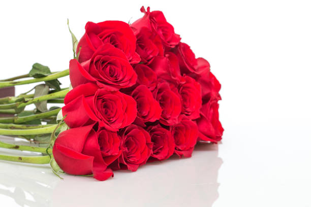 istock Close up of red roses. 814515482