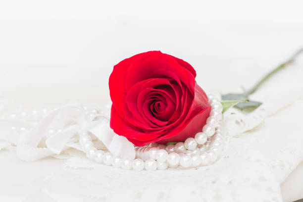 istock Close up of red rose. 814515782