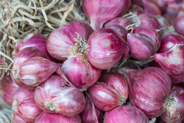 istock Clouse up a group of red onion, shallot. 814516566