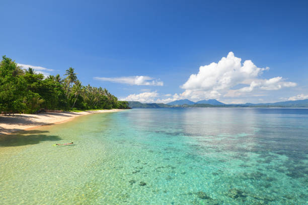 istock Beautiful beach with a coral reef on a tropical island 814518928