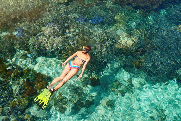 woman in swimsuit snorkeling in clear tropical sea above coral reef. stock photo
