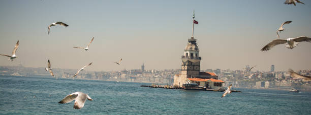istock Seagull in a sky with a Maiden`s tower 814519372