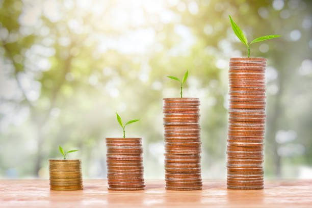 istock Concept of money tree growing from stack coins to success 814520664