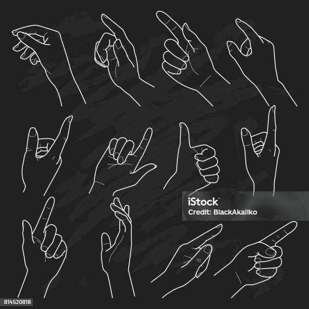 Hand Collecting Vector Hand Collection On Black Background Vector Line Illustration Stock ...