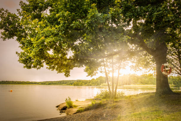 istock Beautiful scandinavian summer sunset by the sea. 814531468