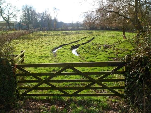 five-bar gate, field & flooded tyre tracks - lag zdjęcia i obrazy z banku zdjęć