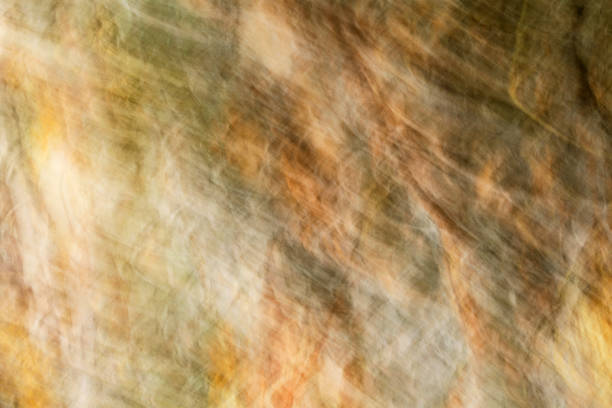 Brown in different shades blurred motion, woody bark background. Close-up.