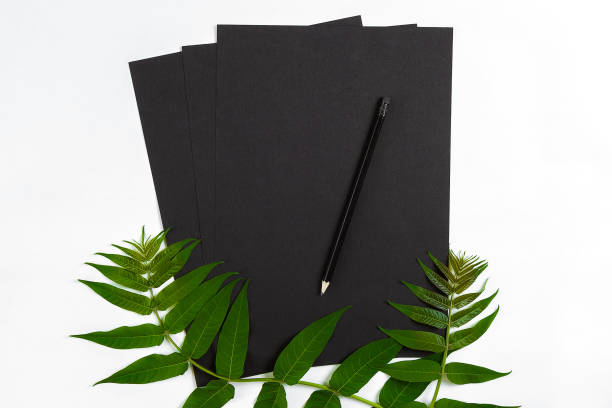 istock Natural composition with sketchbook and pencils on white table, decorated with green branches. Flat lay, top view, view from above 814547990