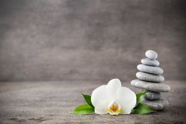 istock White orchid and spa stones on the grey background. 814553944