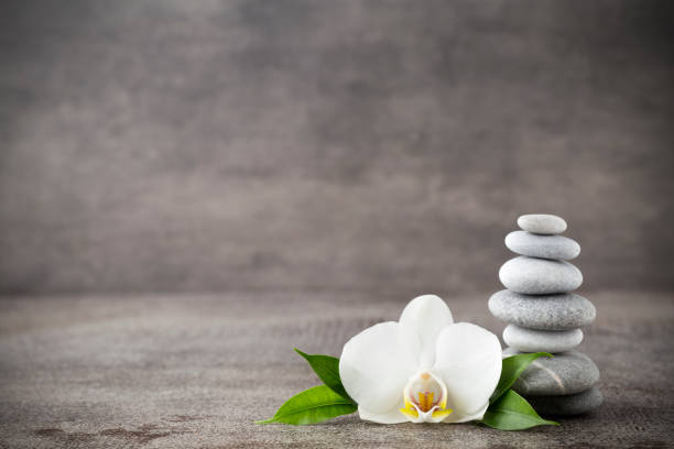 istock White orchid and spa stones on the grey background. 814557602
