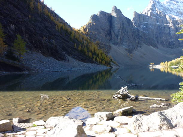 istock Hiking above Lake Louise 814563656
