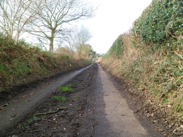 istock Single Track Country Lane 814564134