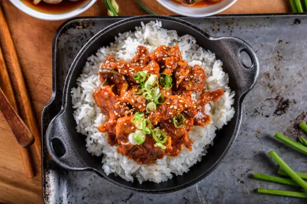 Hot spicy pork on rice bowl
