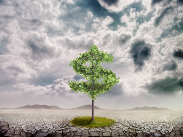 istock Conceptual image of green dollar sign growing on ruins 814576992