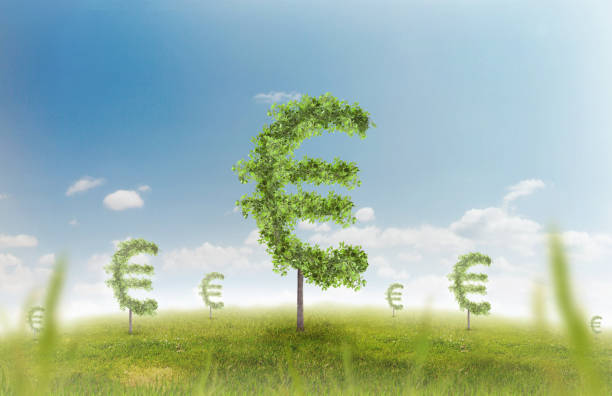 istock Euro sign carved in tree in field 814577108