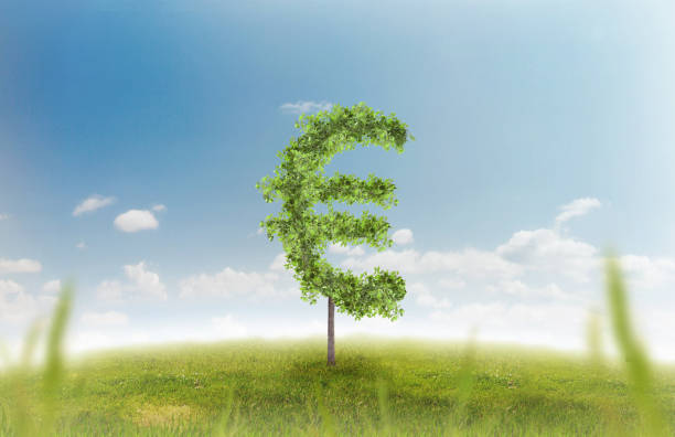 istock Euro sign carved in tree in field 814577112