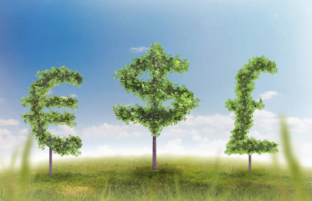 croissance financière et le succès sur un green naturel été vert herbe paysage avec un arbres en forme de symboles monétaires - pound symbol environment grass currency photos et images de collection