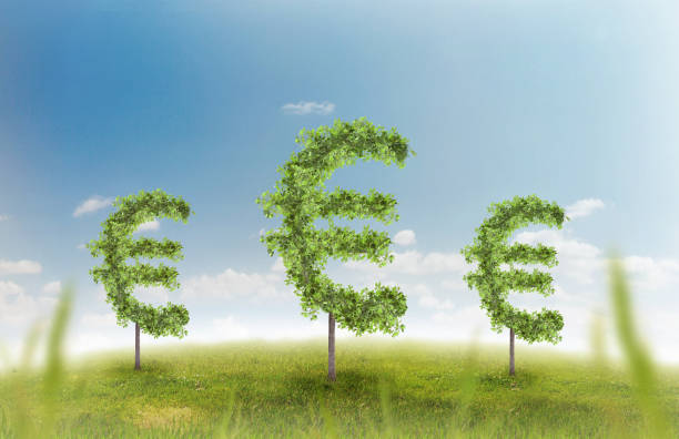 istock Euro sign carved in tree in field 814577148