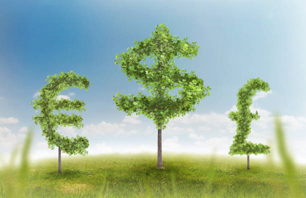 wzrost finansowy i sukces na zielonym letnim naturalnym zielonym krajobrazie trawy z drzewami w kształcie symboli walutowych - pound symbol environment grass currency zdjęcia i obrazy z banku zdjęć