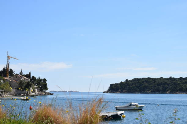 istock Look through the high grass to the bay with a construction site 814604868
