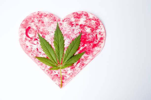 folha de maconha na forma de coração vermelho - heart shape grass paper green - fotografias e filmes do acervo