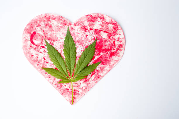 лист марихуаны на красной форме сердца - heart shape grass paper green стоковые фото и изображения