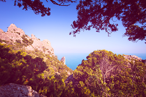 Beautiful tropical landscape with the top of the mountain overlooking the rocks and the sea, framed by pine branches, tinted in vintage style, high resolution for printing.