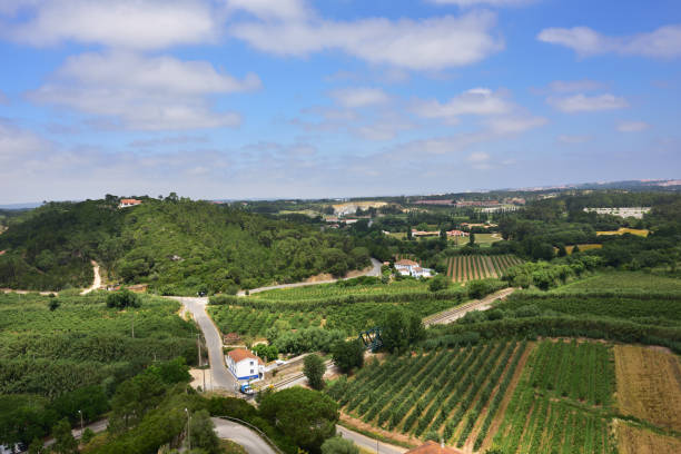 Stunning countryside landscape nearby Obidos, Portugal