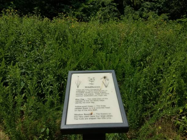 istock wildflowers and sign 814637074