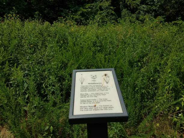 istock wildflowers and sign 814637124