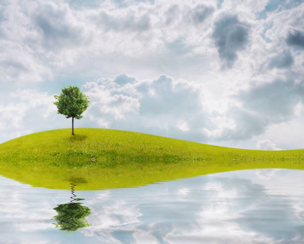 istock Panorama of green field 814641592