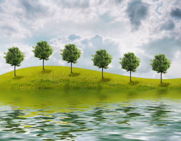 istock Panorama of green field 814641796