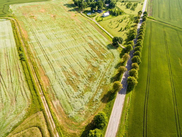 istock drone image. aerial view of rural area with fields and forests 814660904
