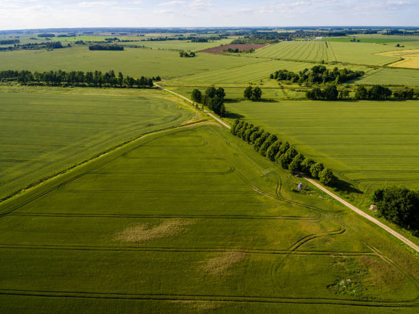 istock drone image. aerial view of rural area with fields and forests 814660908