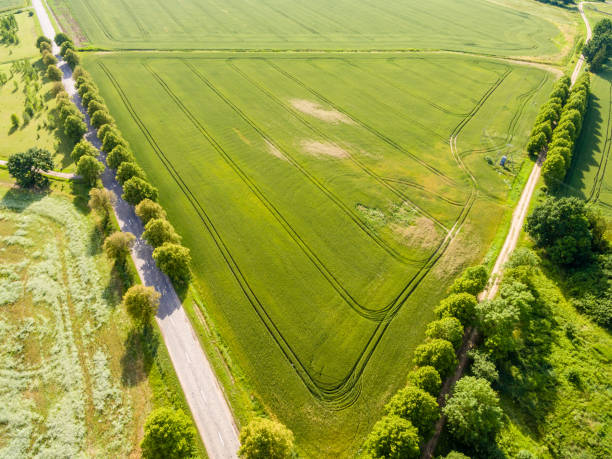 istock drone image. aerial view of rural area with fields and forests 814660914