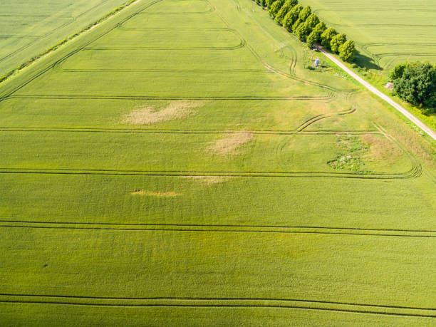 istock drone image. aerial view of rural area with fields and forests 814660920