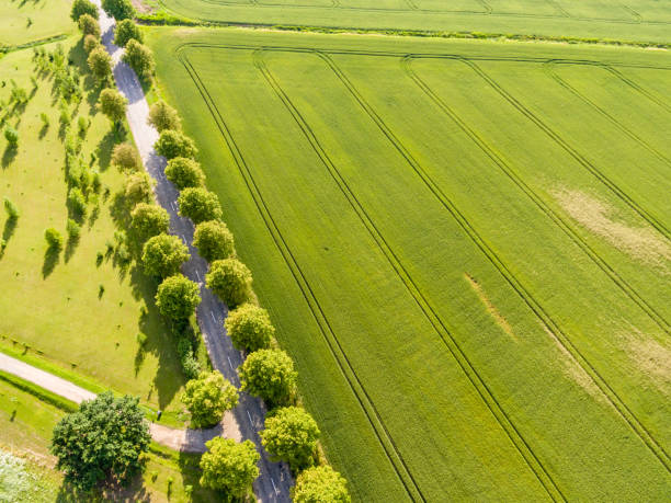 istock drone image. aerial view of rural area with fields and forests 814660934