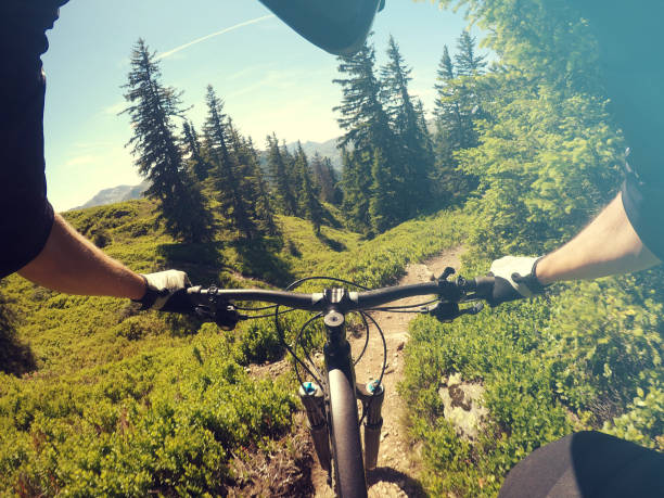 istock Riding a mountainbike through alpine forest 814663608