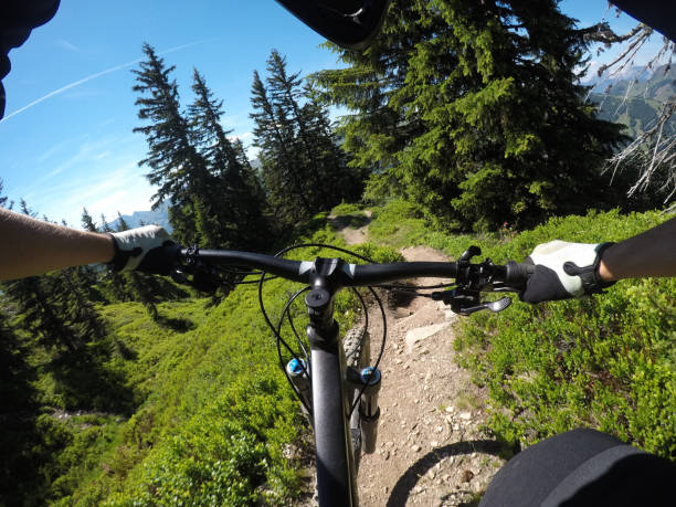 istock Alpine forest on a bike 814663638