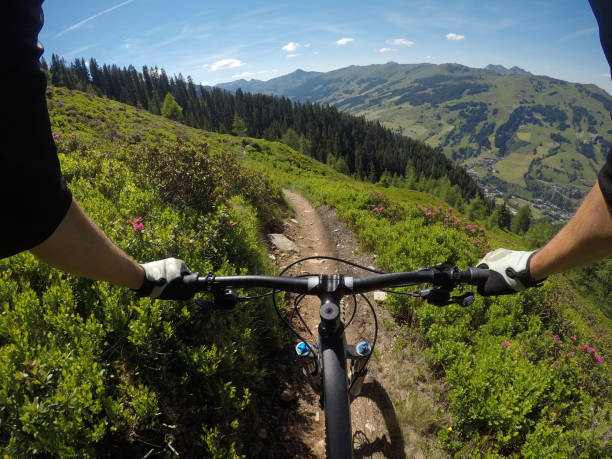 istock Bike trail from the mountain into the forest 814663940